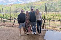 Vines and Views Sedona Elite Ride Experience