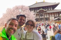 Nara Private Tour in Spanish with pick up in Osaka or Kyoto