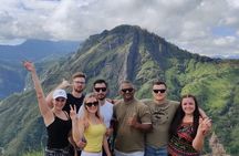 Signature 8 Day Sri Lanka Tour Culture Safari and Coastal Escape