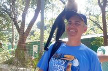 Roatan Sloth Sanctuary Visit Zipline Canopy and Island Tour