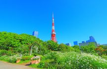 Discover Tokyo Your Way!