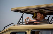 One Day Trip to Tarangire National Park the Home of Big 4