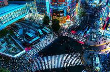 Private Tokyo Tour by Car with Custom Itinerary & English Guide