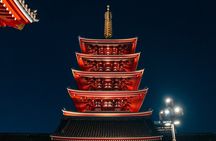 Private Tokyo Tour by Car with Custom Itinerary & English Guide