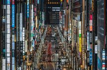 Tokyo Private Tour with Custom Itinerary And English Driver Guide