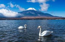 The Fuji Awakening Private Wellness Experience