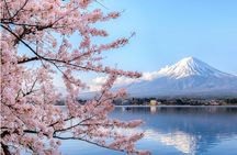 The Fuji Awakening Private Wellness Experience