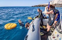 Tenerife Guided Snorkeling Tour with Gear