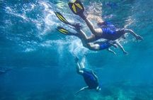 Tenerife Guided Snorkeling Tour with Gear
