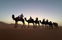 Exclusive 2D1N Marrakech to Fes/Marrakech via Erg Chebbi Desert