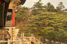 Private Gyeongju UNESCO Highlights Tour with Local Ryan
