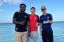 South Coast Tour- YS Falls, Black River Safari, Appleton Rum