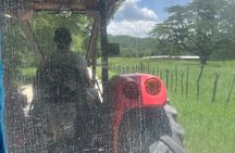 South Coast Tour- YS Falls, Black River Safari, Appleton Rum