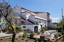 Pompeii & Herculaneum Experience with Easy Lunch from Sorrento