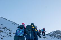 Small group Trekking to Vinciguerra Glacier and Témpanos Lagoon
