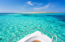 Marsa Alam Snorkeling Trip With Dugong And Turtles Marsa Mubarak