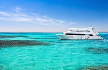 Marsa Alam Snorkeling Trip With Dugong And Turtles Marsa Mubarak