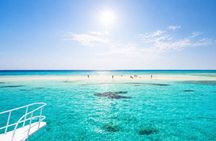 White Island & Ras Mohammed Boat Trip with Diving And Snorkeling