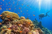 White Island & Ras Mohammed Boat Trip with Diving And Snorkeling