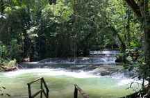 South Coast Tour- YS Falls, Black River Safari, Appleton Rum
