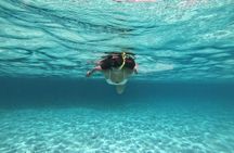 Snorkel Shared Tour Sandbar El Cielo in Cozumel with Carlos