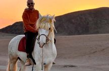 Marrakech Private Horse Riding in Agafay Desert &Dinner Show