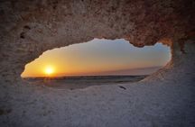 Full Day Qatar North and West Coast Tour Heritage with Nature