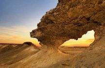 Full Day Qatar North and West Coast Tour Heritage with Nature