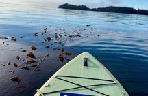 Sitka Coastal Experience
