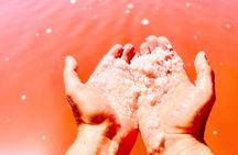 Salt Lakes and Mud Baths Excursion from Sunny Beach