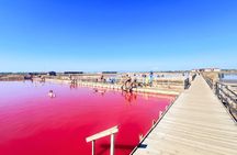 Salt Lakes and Mud Baths Excursion from Sunny Beach