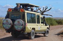 Day Tour to Amboseli National Park from Nairobi