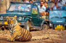 4-Day Taj Mahal Sunrise & Ranthambore Tour with 3 Safaris