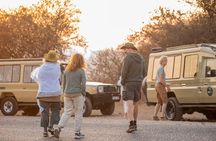 One Day Trip to Tarangire National Park the Home of Big 4