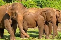 10 Days Overland Tour from Cape Town to Johannesburg