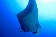 Phuket: Discover Scuba 3 Times Diving Racha Noi & Yai