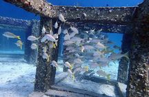 Phuket: Discover Scuba 3 Times Diving Racha Noi & Yai