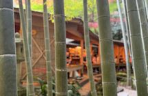 Half-Day Private & Customizable Tour with Kamakura-Born Guide