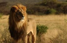 10 Days Overland Tour from Cape Town to Johannesburg