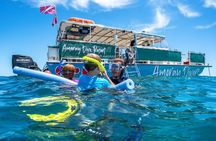 Key Largo Snorkeling Trip to the Florida Reef (Boat Tour)