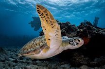 Key Largo 2-Tank Boat Dive for Certified Divers