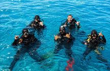 White Island & Ras Mohammed Boat Trip with Diving And Snorkeling