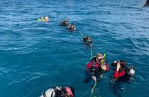 PADI Open Water Diver Course