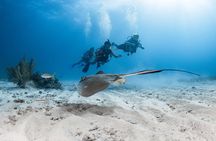 Key Largo 2-Tank Boat Dive for Certified Divers