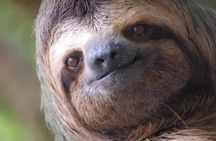 Manuel Antonio National Park Guided Tour With Ticket Option