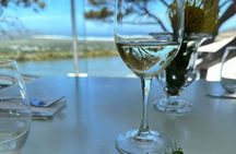 Wine Tasting, Lion Park and Giraffe House Tour