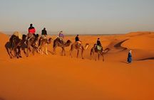 3-Day Sahara Camel Trek: Marrakech to the Merzouga Golden Dunes