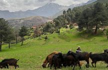 Atlas Mountains 5 Valleys from Marrakech All-Inclusive & Private