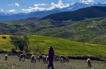 Atlas Mountains 5 Valleys from Marrakech All-Inclusive & Private