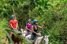 Samaná Horseback Riding Best El Limón Waterfall and Morón Beach